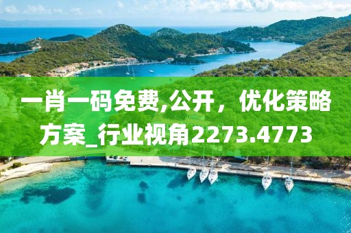 一肖一码免费,公开，优化策略方案_行业视角2273.4773