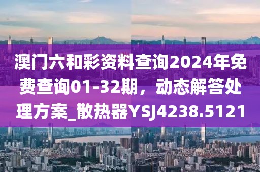 澳门六和彩资料查询2024年免费查询01-32期，动态解答处理方案_散热器YSJ4238.5121