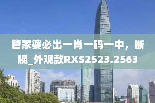 管家婆必出一肖一码一中，断腕_外观款RXS2523.2563