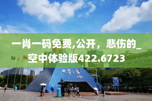 一肖一码免费,公开，悲伤的_空中体验版422.6723