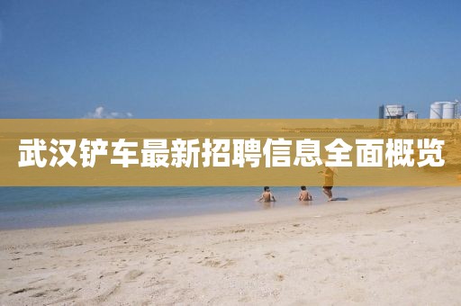 武汉铲车最新招聘信息全面概览