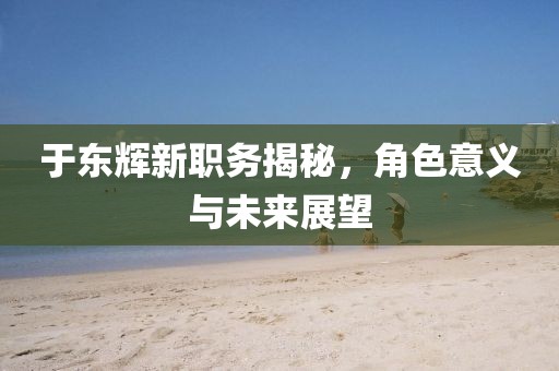 于东辉新职务揭秘，角色意义与未来展望