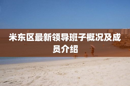 米东区最新领导班子概况及成员介绍