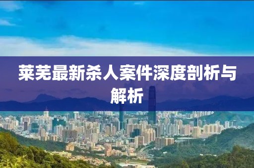 莱芜最新杀人案件深度剖析与解析
