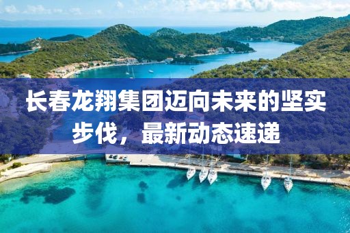 长春龙翔集团迈向未来的坚实步伐，最新动态速递