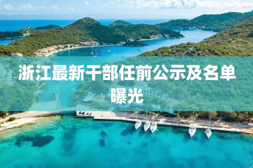 浙江最新干部任前公示及名单曝光