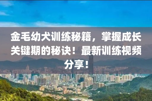 金毛幼犬训练秘籍，掌握成长关键期的秘诀！最新训练视频分享！
