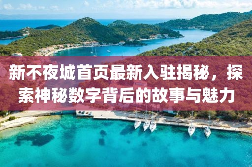 新不夜城首页最新入驻揭秘，探索神秘数字背后的故事与魅力
