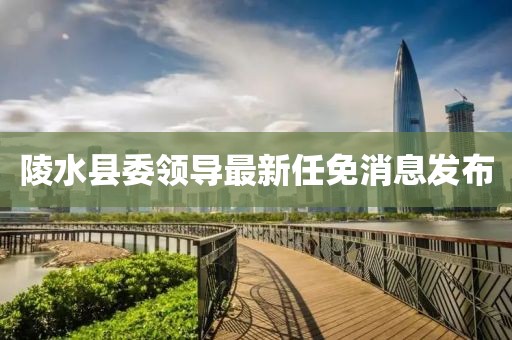 陵水县委领导最新任免消息发布