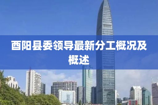 酉阳县委领导最新分工概况及概述