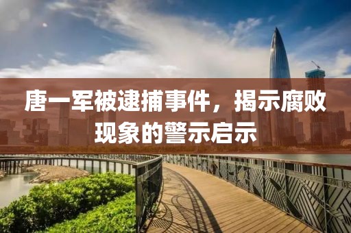 唐一军被逮捕事件，揭示腐败现象的警示启示