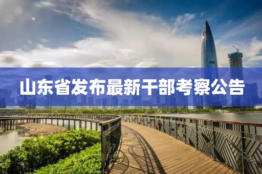 山东省发布最新干部考察公告