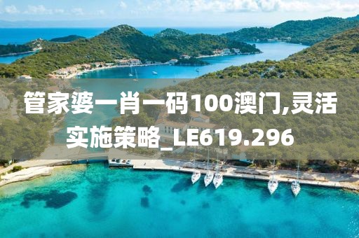 管家婆一肖一码100澳门,灵活实施策略_LE619.296