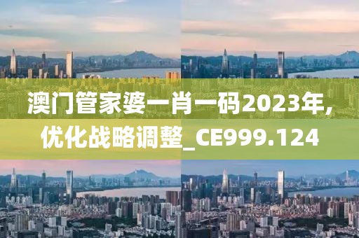 澳门管家婆一肖一码2023年,优化战略调整_CE999.124