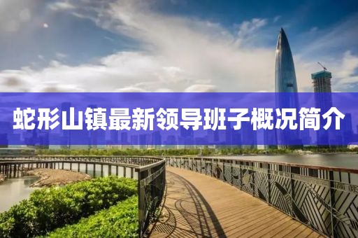 蛇形山镇最新领导班子概况简介