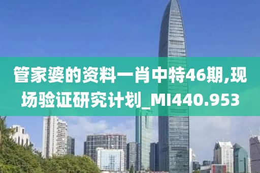 管家婆的资料一肖中特46期,现场验证研究计划_MI440.953