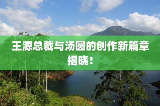 王源总裁与汤圆的创作新篇章揭晓！