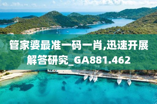 管家婆最准一码一肖,迅速开展解答研究_GA881.462