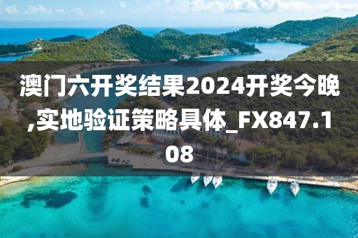 澳门六开奖结果2024开奖今晚,实地验证策略具体_FX847.108