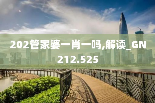 202管家婆一肖一吗,解读_GN212.525