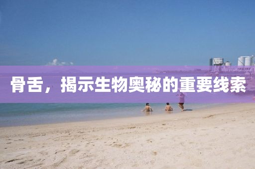 骨舌，揭示生物奥秘的重要线索