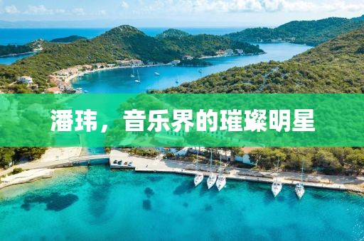 潘玮，音乐界的璀璨明星