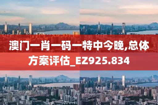 澳门一肖一码一特中今晚,总体方案评估_EZ925.834