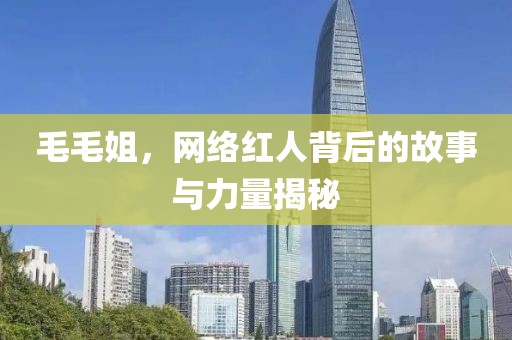 毛毛姐，网络红人背后的故事与力量揭秘