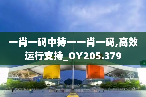 一肖一码中持一一肖一码,高效运行支持_OY205.379