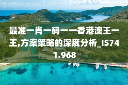 最准一肖一码一一香港澳王一王,方案策略的深度分析_IS741.968