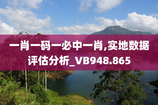 一肖一码一必中一肖,实地数据评估分析_VB948.865