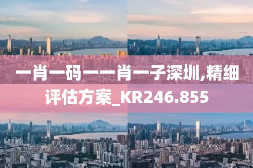 一肖一码一一肖一子深圳,精细评估方案_KR246.855