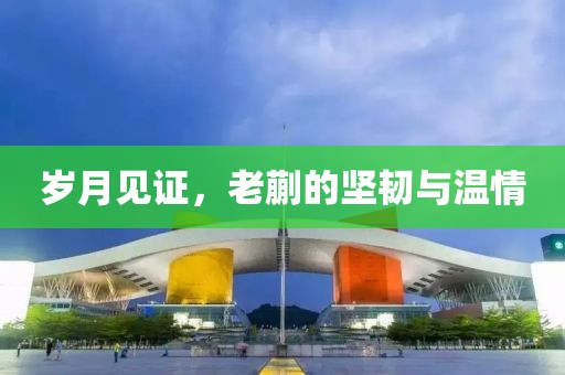 岁月见证，老蒯的坚韧与温情