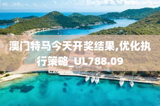 澳门特马今天开奖结果,优化执行策略_UL788.09