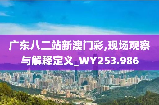 广东八二站新澳门彩,现场观察与解释定义_WY253.986