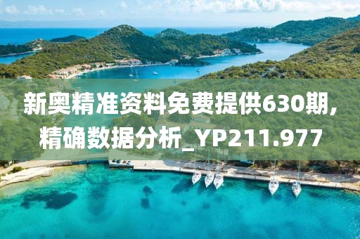 新奥精准资料免费提供630期,精确数据分析_YP211.977