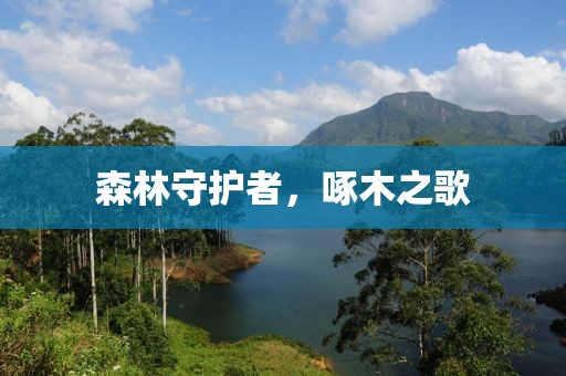 森林守护者，啄木之歌