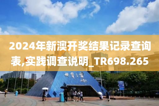 2024年新澳开奖结果记录查询表,实践调查说明_TR698.265