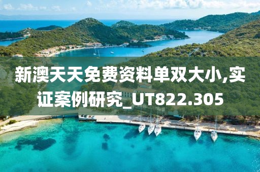 新澳天天免费资料单双大小,实证案例研究_UT822.305