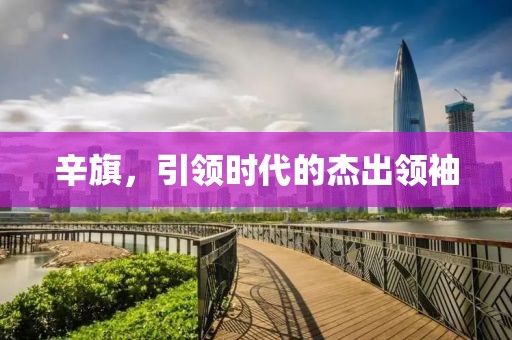 辛旗，引领时代的杰出领袖