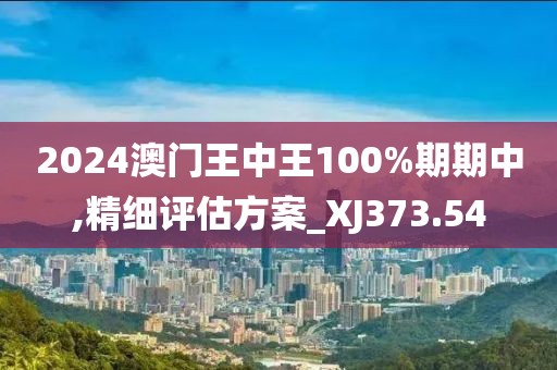 2024澳门王中王100%期期中,精细评估方案_XJ373.54