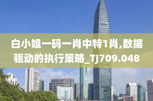 白小姐一码一肖中特1肖,数据驱动的执行策略_TJ709.048