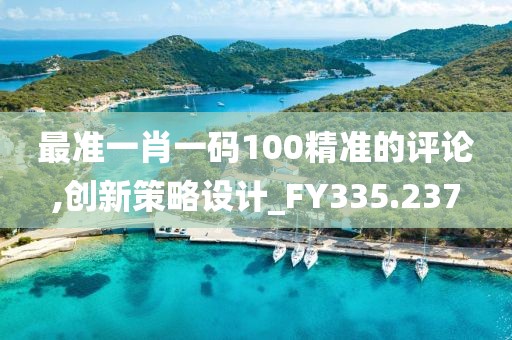 最准一肖一码100精准的评论,创新策略设计_FY335.237