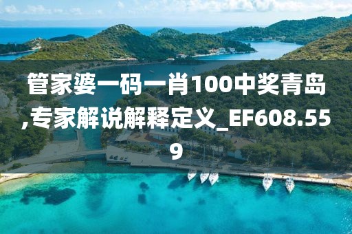 管家婆一码一肖100中奖青岛,专家解说解释定义_EF608.559