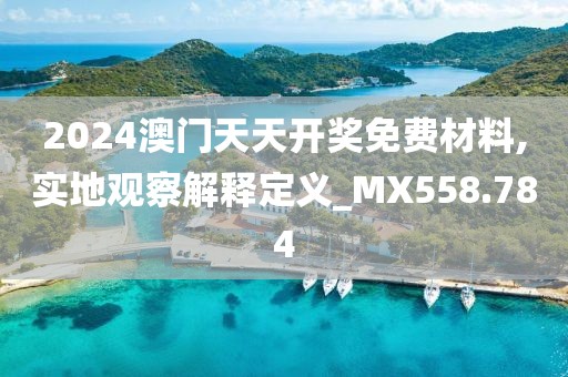 2024澳门天天开奖免费材料,实地观察解释定义_MX558.784