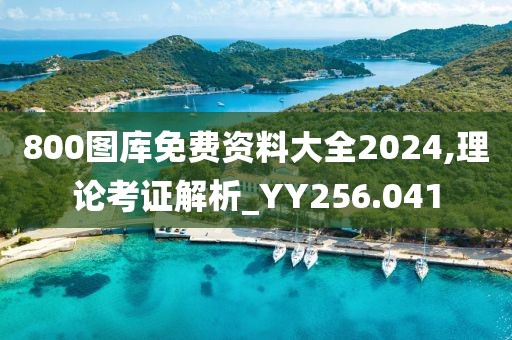 800图库免费资料大全2024,理论考证解析_YY256.041
