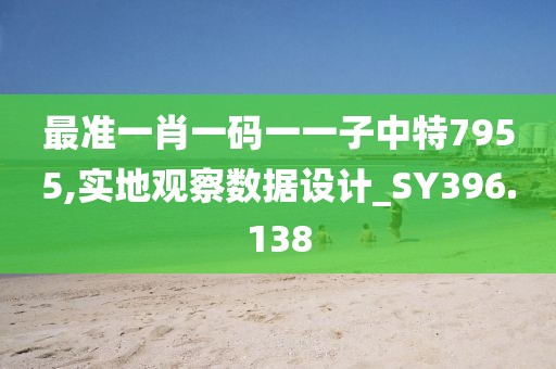 最准一肖一码一一子中特7955,实地观察数据设计_SY396.138