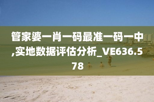 管家婆一肖一码最准一码一中,实地数据评估分析_VE636.578