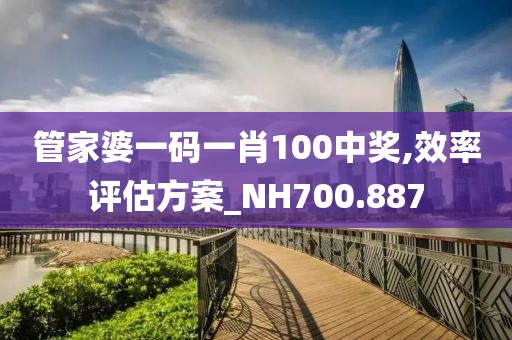 管家婆一码一肖100中奖,效率评估方案_NH700.887