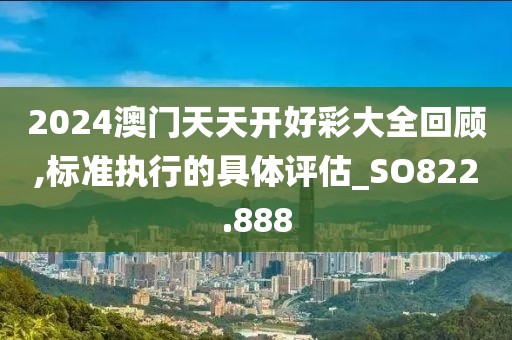 2024澳门天天开好彩大全回顾,标准执行的具体评估_SO822.888
